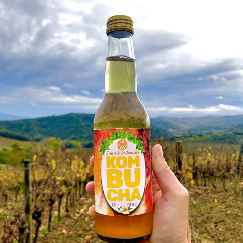 kombucha france