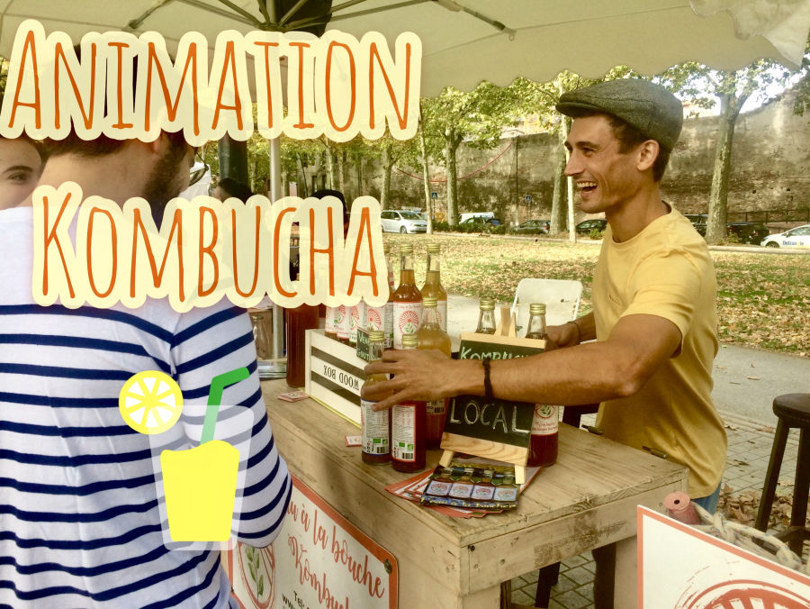 kombucha animations