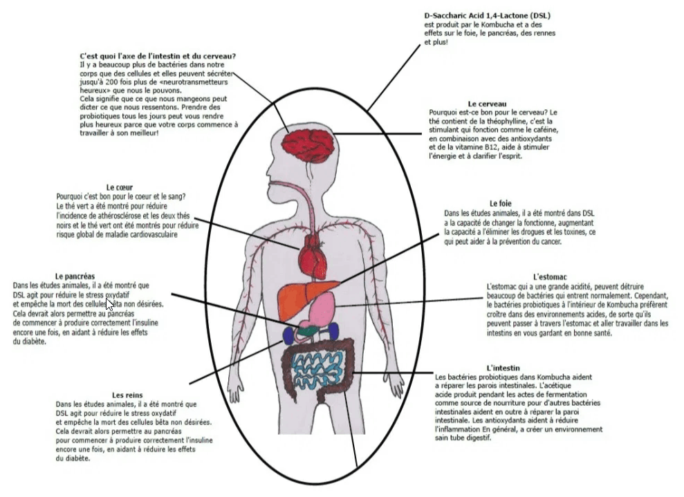 Santé